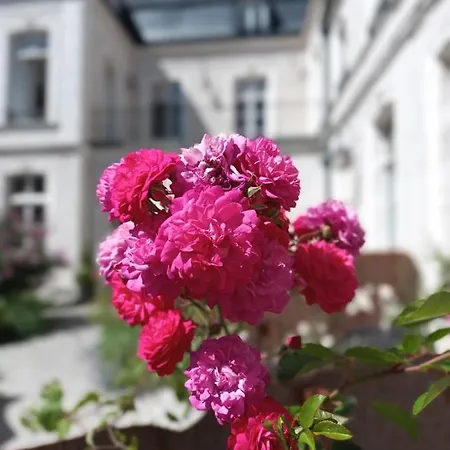 Loysel Le Gaucher Hotel 3*