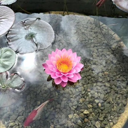 Ξενοδοχείο Loysel Le Gaucher 3*