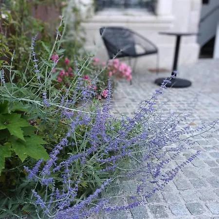 Ξενοδοχείο Loysel Le Gaucher 3*