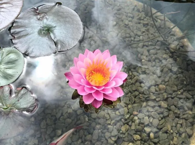 Hotel Loysel Le Gaucher 3*