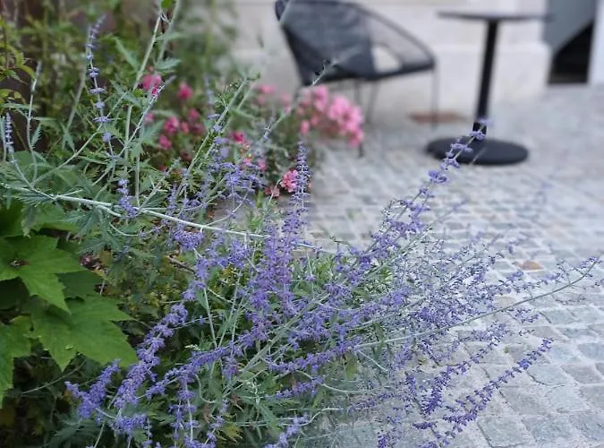 Hotel Loysel Le Gaucher 3*